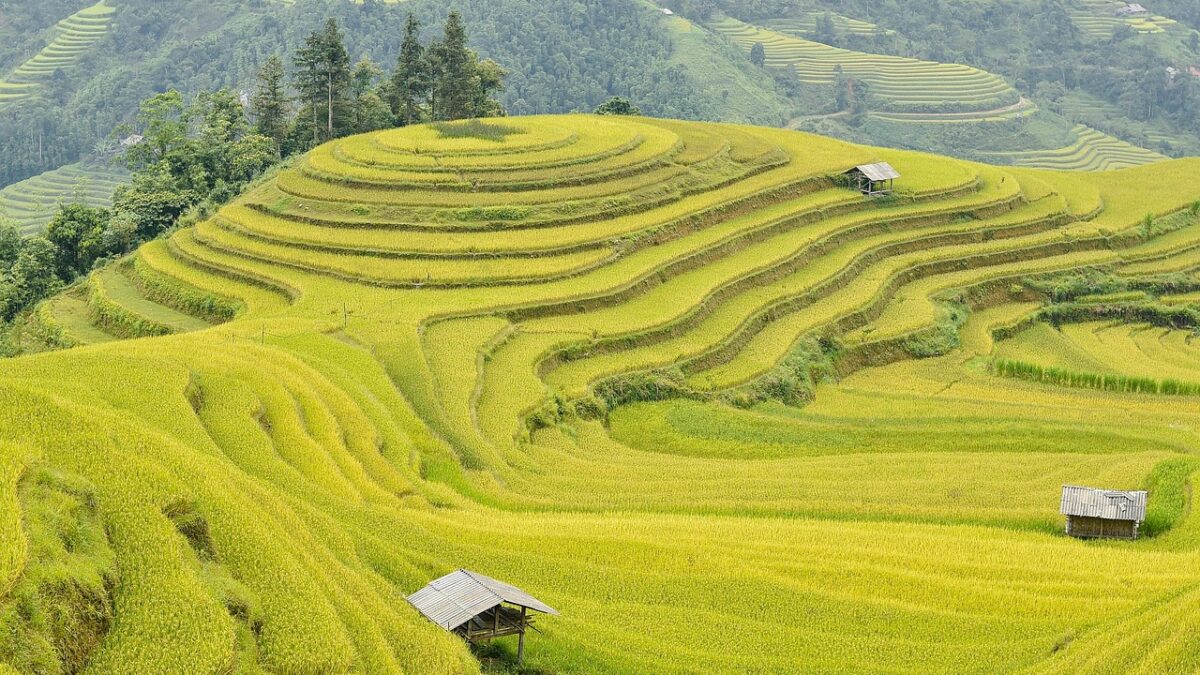 rachete rusesti peste liov sua condamna un atac periculos si inexplicabil