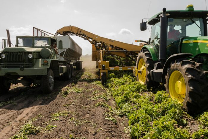 romania-are-cei-mai-multi-angajati-in-agricultura-din-ue