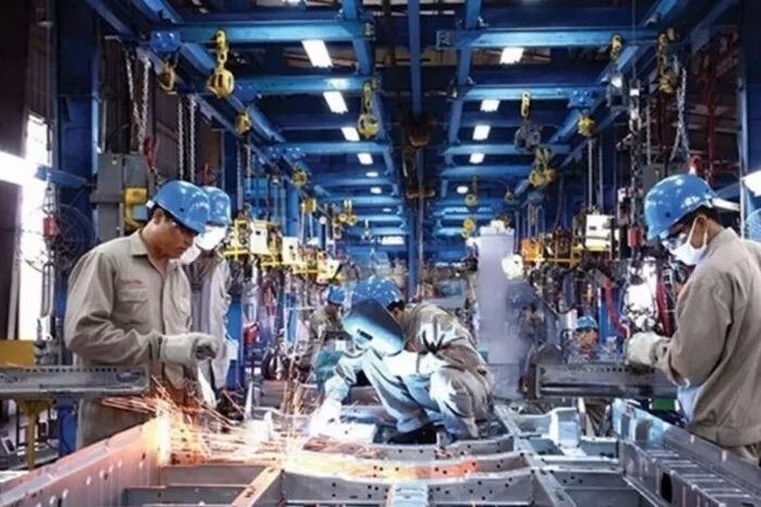 Serviciile B2B: Creștere de 1,8% în 2025, avans notabil în IT