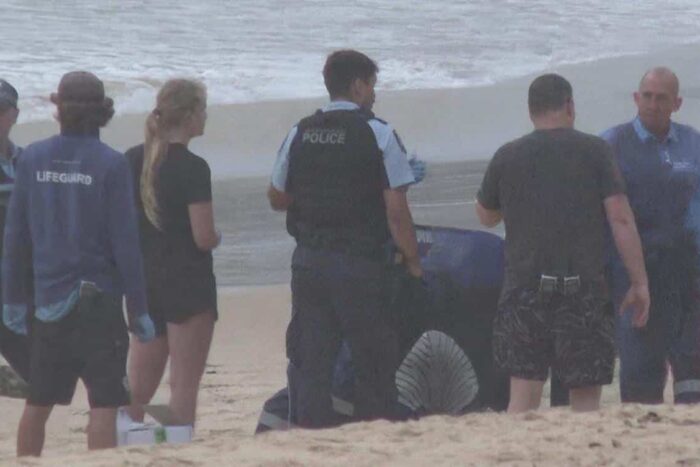 teroare-in-sydney-3-atacuri-de-rechin-in-doar-26-de-ore
