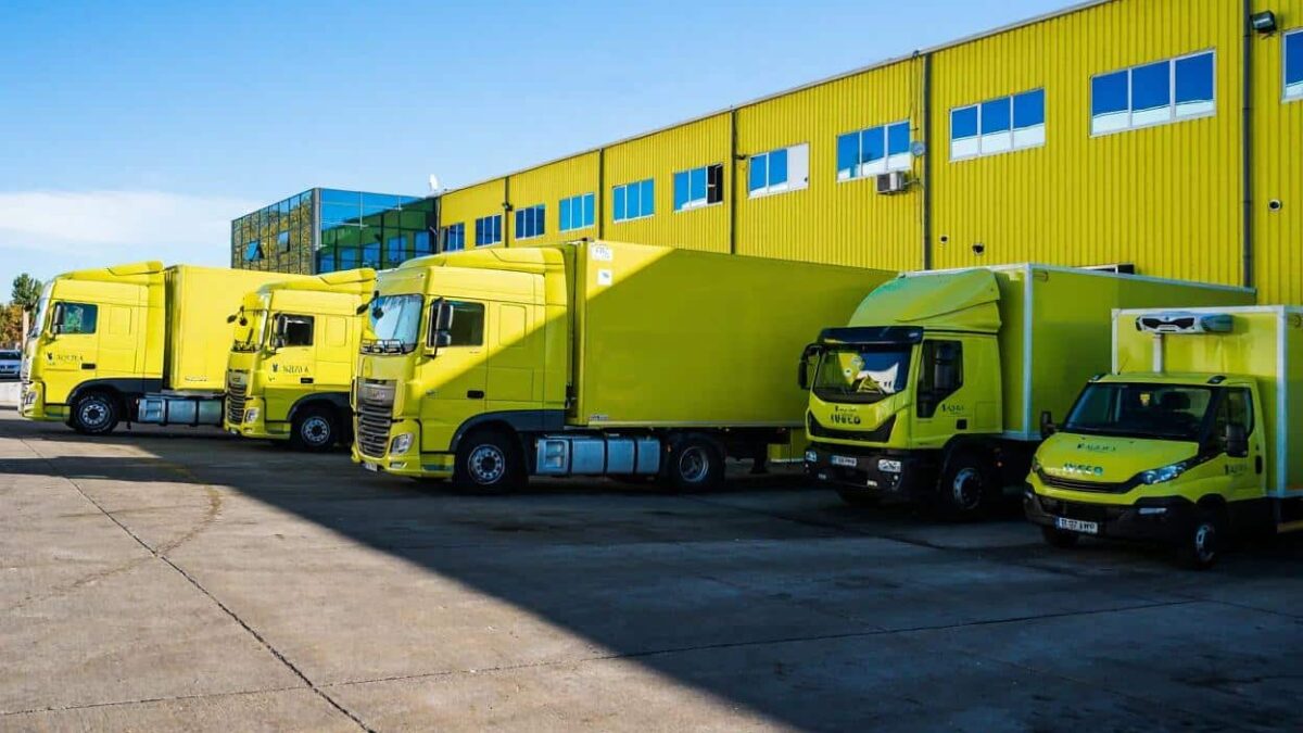 aquila trece in digital management nou pentru 3 500 de angajati si afaceri de 3 mld ron
