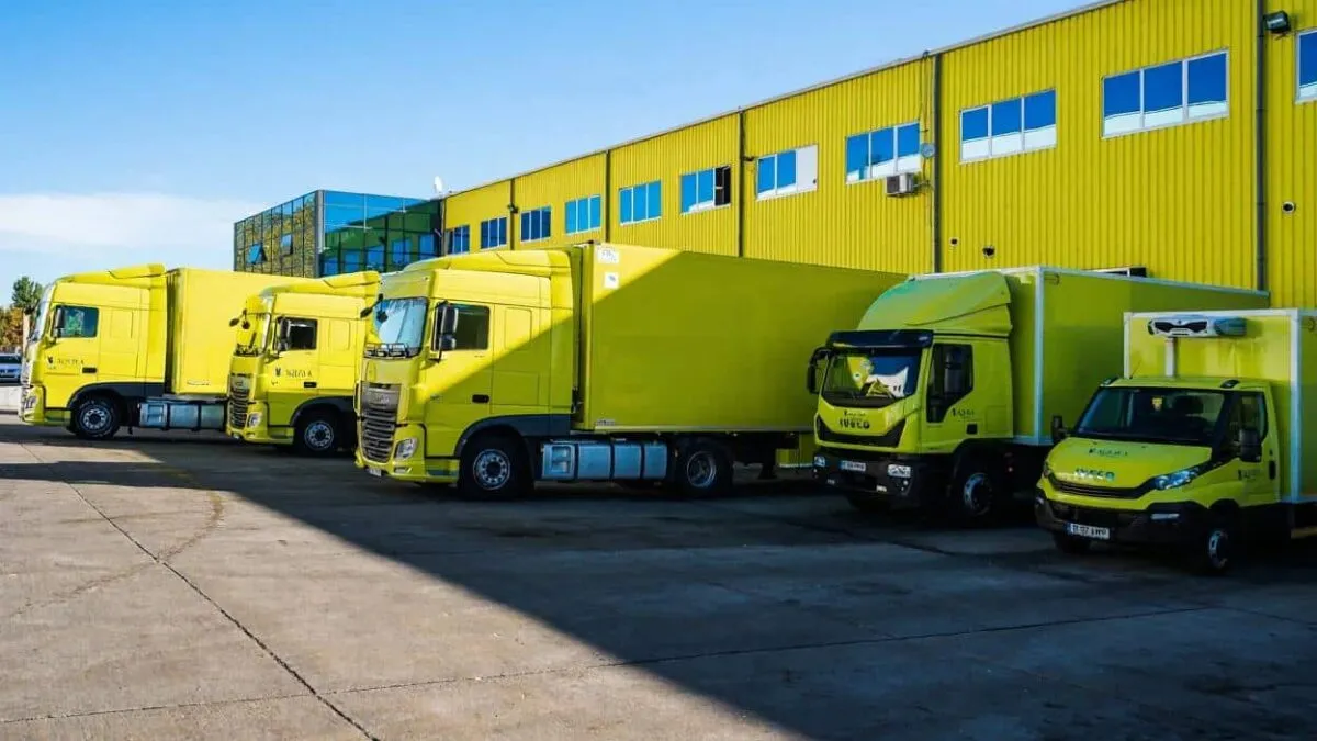 aquila-trece-in-digital-management-nou-pentru-3-500-de-angajati-si-afaceri-de-3-mld-ron