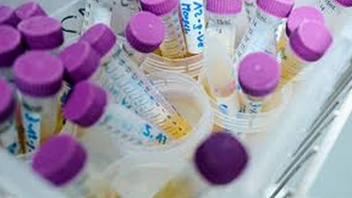 Benzenul este o substanță cancerigenă şi a fost detectată în creme de protecție solară