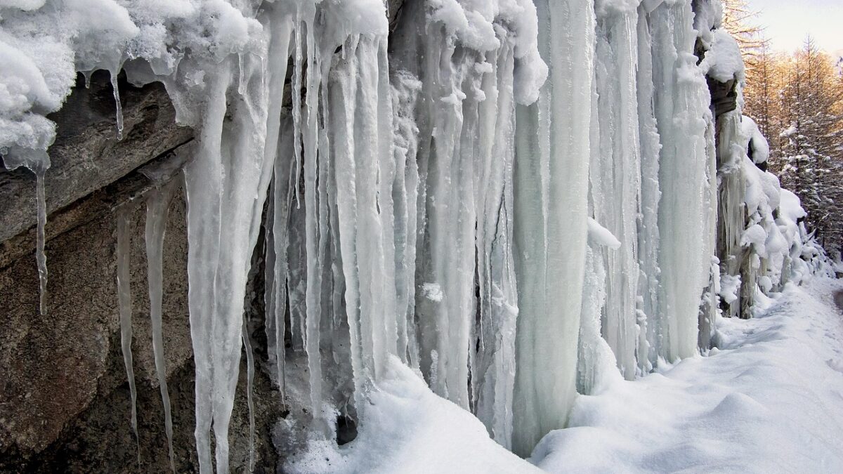 Florida, -6 grade: mai frig decât în Islanda. Record doborât după 45 de ani florida 6 grade mai frig decat in islanda record doborat dupa 45 de ani