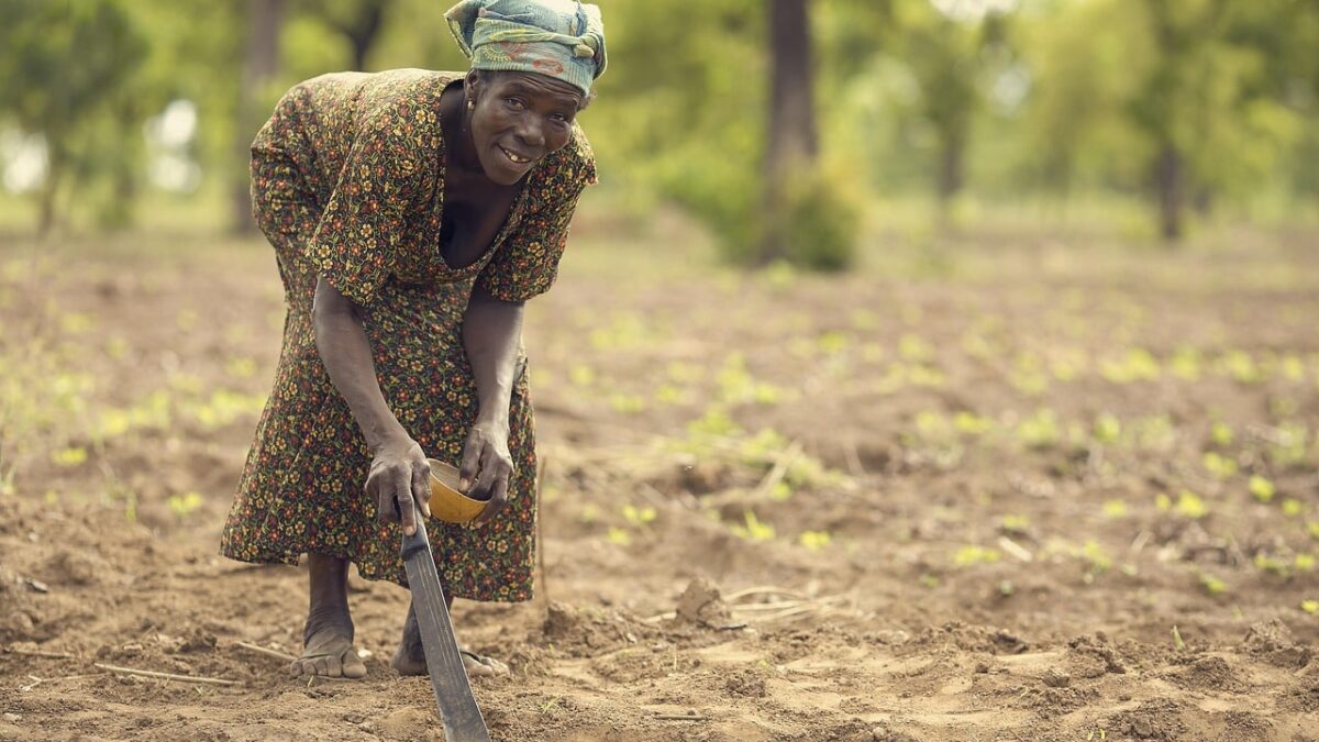 Ghana cere ONU să declare sclavia "cea mai mare crimă împotriva umanității”. ghana cere onu sa declare sclavia cea mai mare crima impotriva umanitatii 1771406415