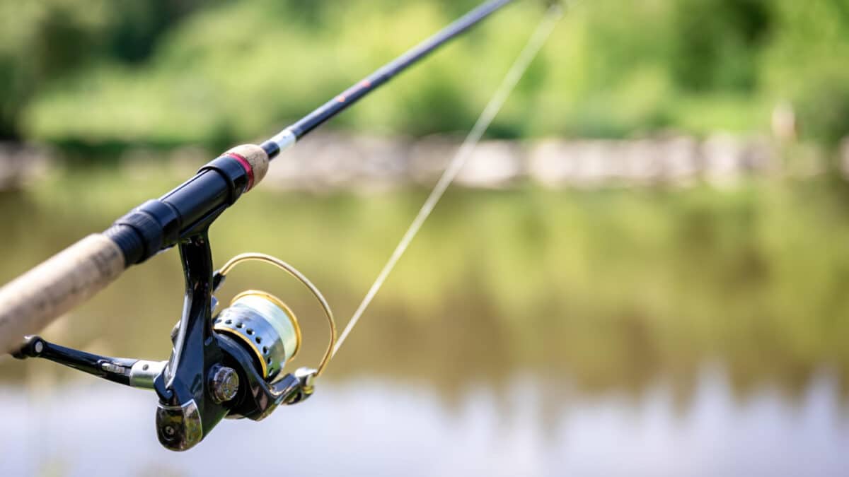 lansete pescuit incepatori 1771340051