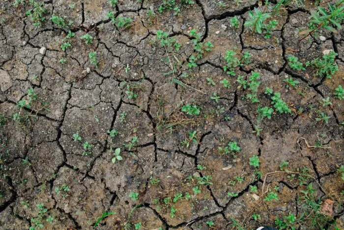 pagube-de-45-miliarde-e-pe-an-ue-nepregatita-pentru-schimbarile-climatice-1771329498