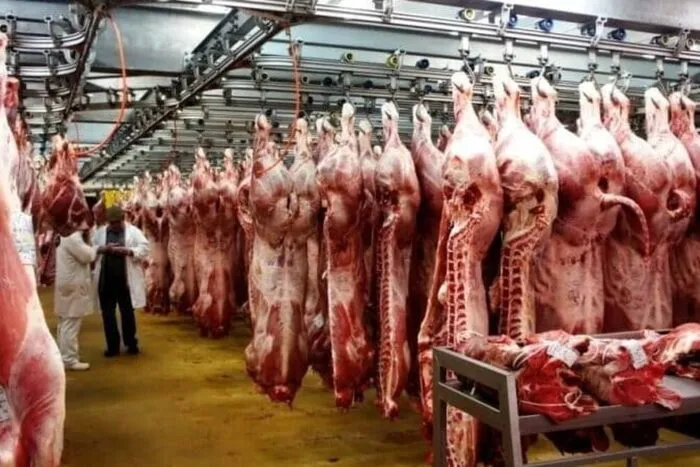 Carnea de porc s-a scumpit cu 25%. Fermierii români reclamă pierderi