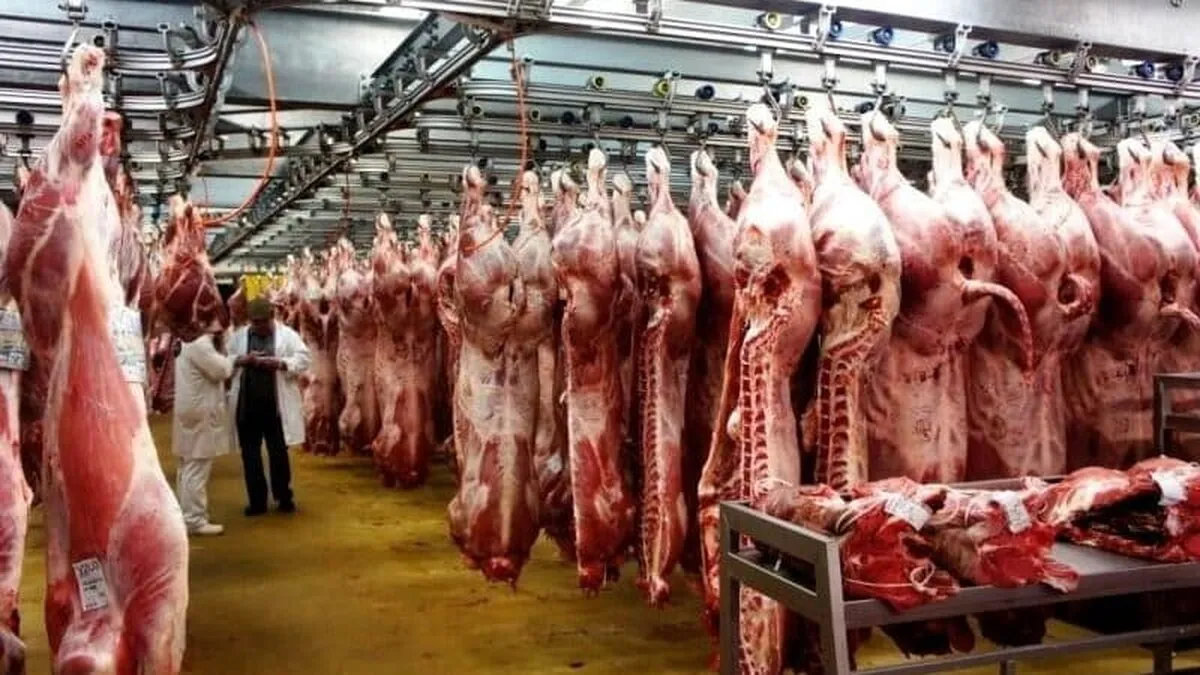 Carnea de porc s-a scumpit cu 25%. Fermierii români reclamă pierderi