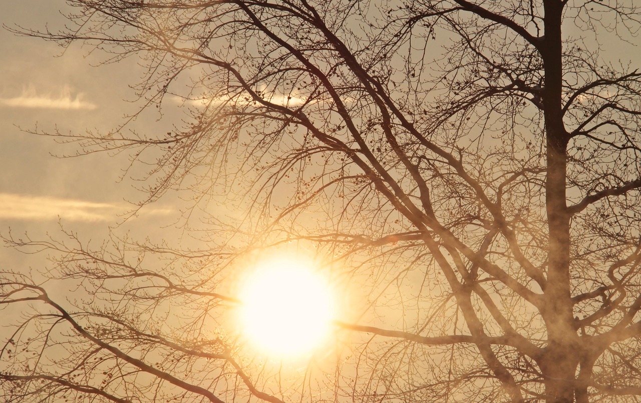 Temperaturi de până la 13 grade joi, dar gerul revine duminică sub -10°C