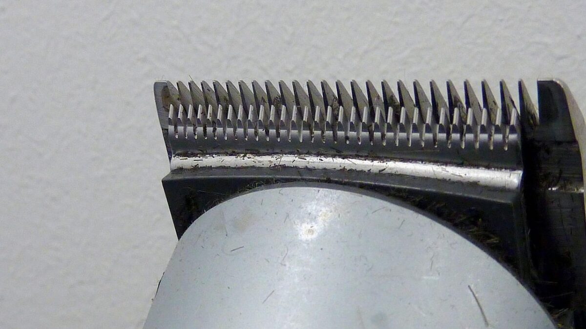 top-10-modele-de-trimmer-cu-acumulator-recomandate-in-2026