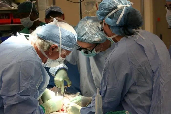 Marea Britanie: Copil născut după transplant de uter de la donatoare decedată
