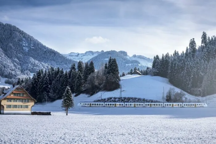tren-cu-80-de-pasageri-deraiat-de-o-avalansa-in-elvetia-politia-probabil-sunt-multi-raniti-1771234835
