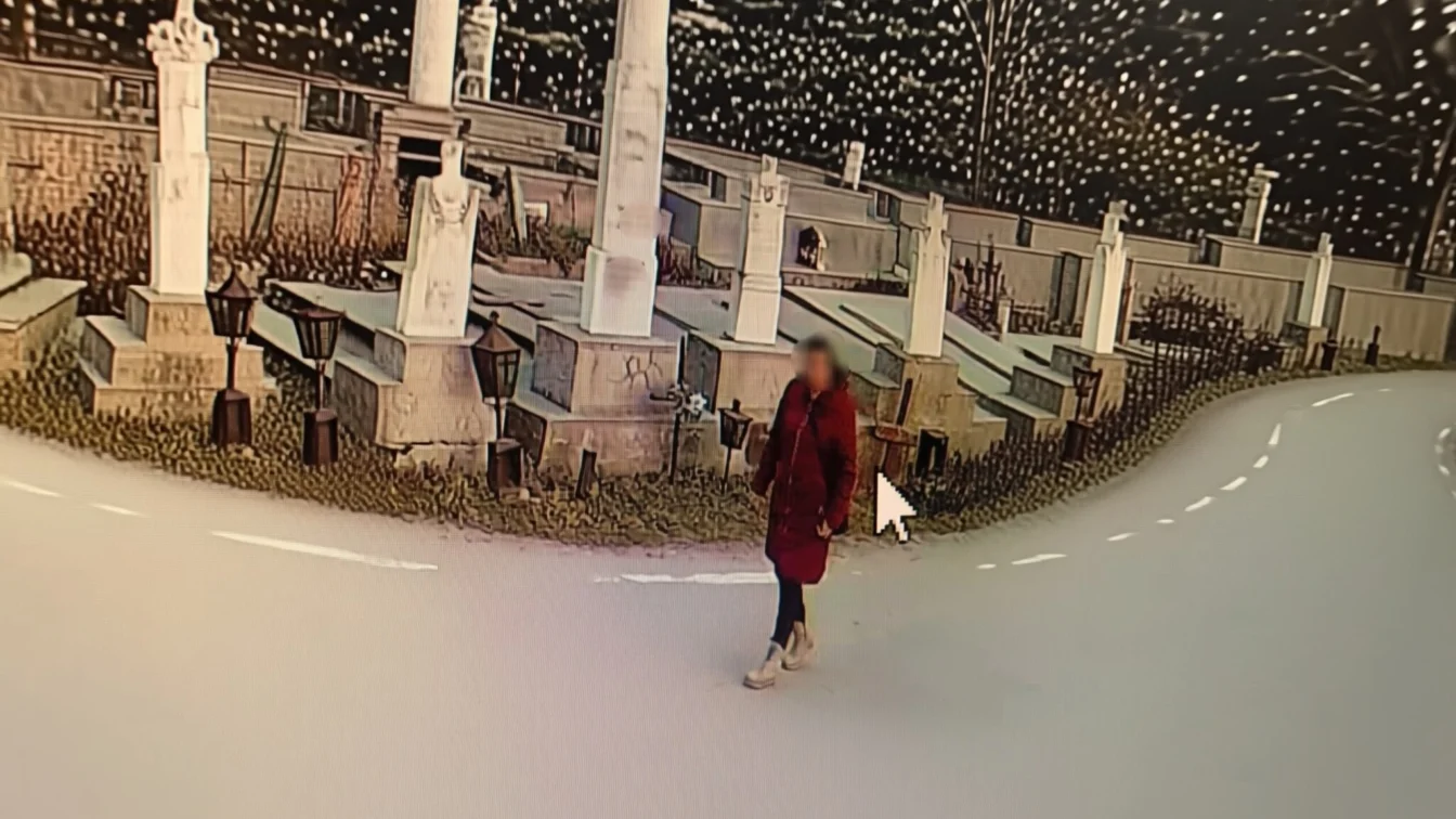 O femeie de 54 de ani a vandalizat mormântul lui Ilie Balaci. Poliția a prins-o