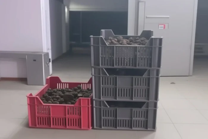 amenzi Garda de Mediu