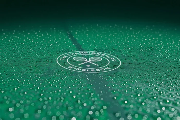 arbitraj video wimbledon