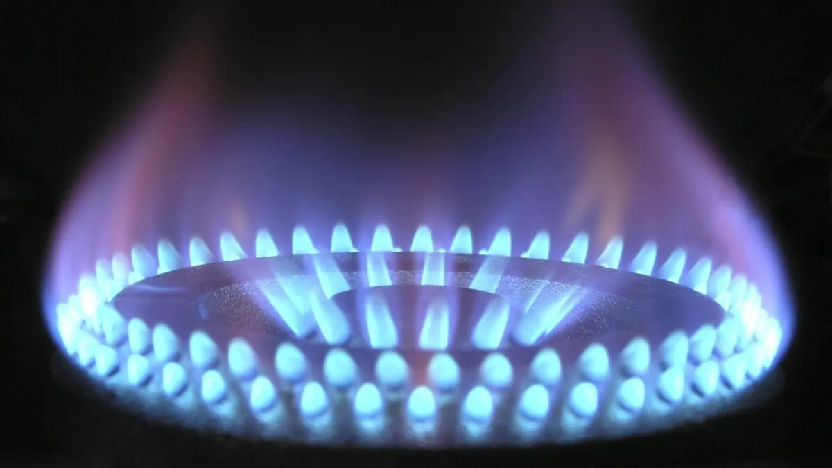 plafonare-pret-gaz-1772712411