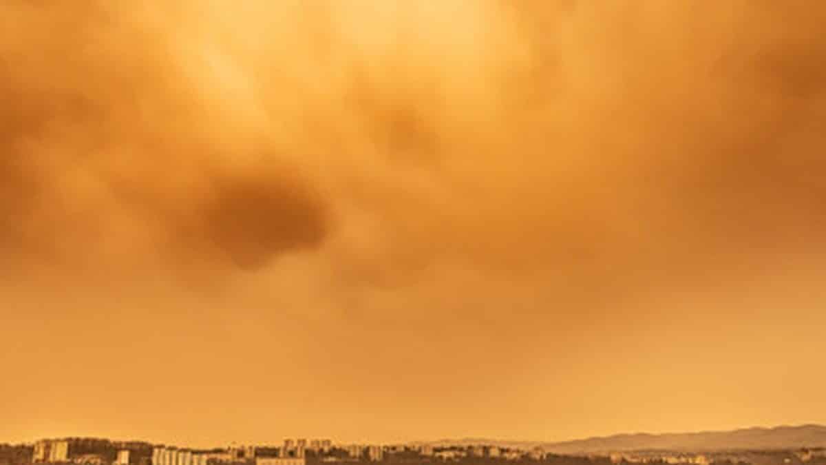 poluare Bucuresti 1772692535