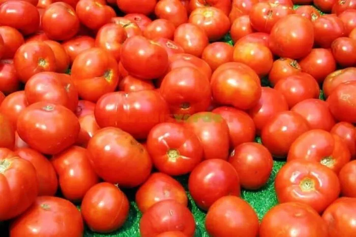 preturi-legume-1772800903