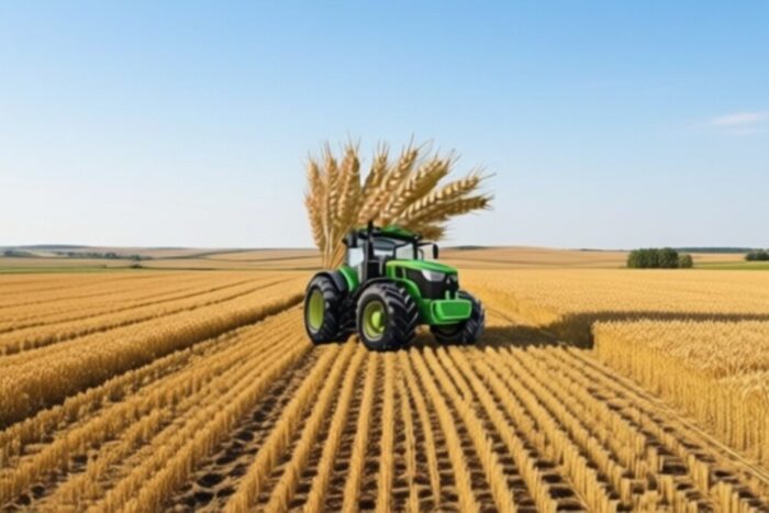 rezilienta alimentara