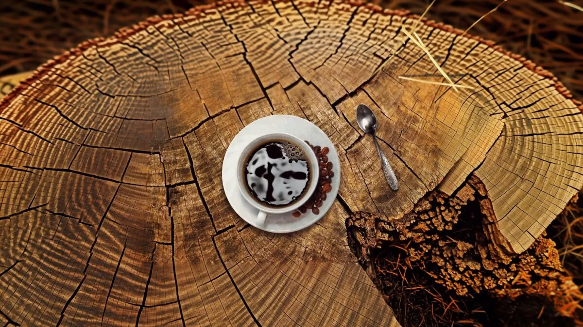 risc demență cafea