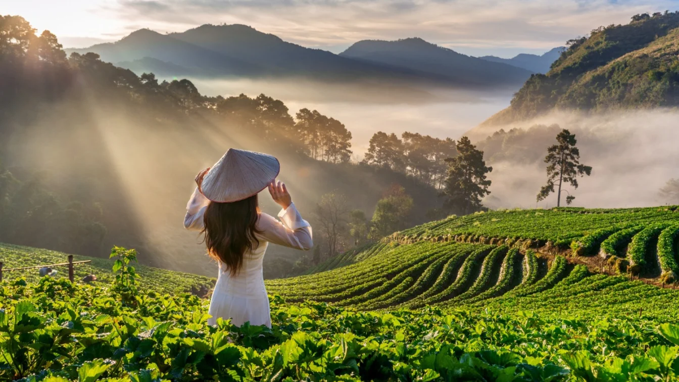 Vacanța 2026 – turcia all inclusive sau Vietnam? Ce trebuie să știi înainte să rezervi