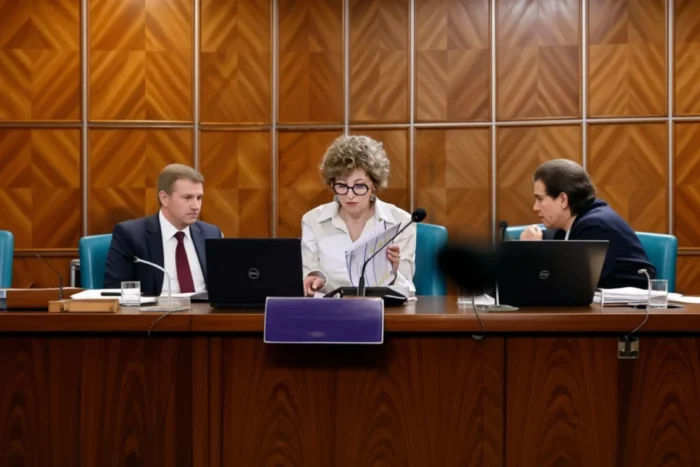 Hidroelectrica profit