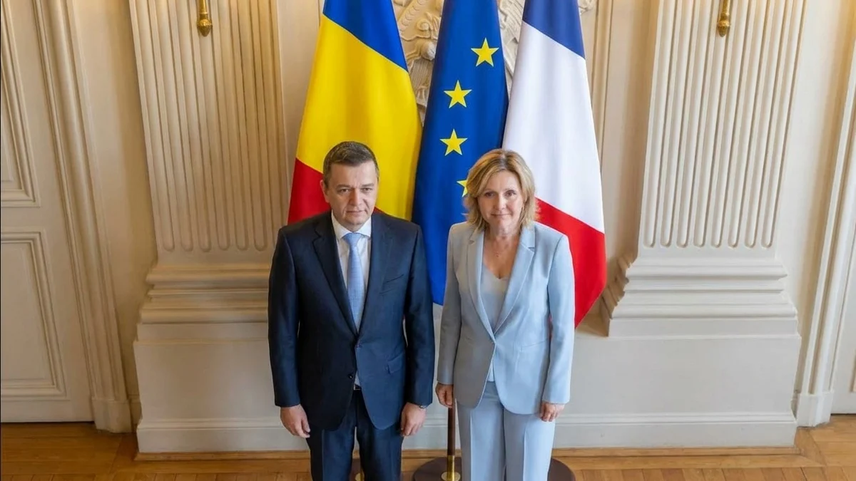 Sorin Grindeanu Franta