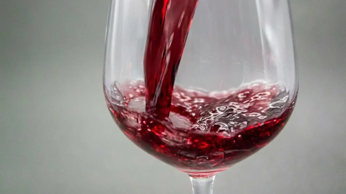 alcool creier studiu