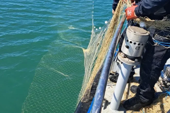 braconaj Marea Neagră