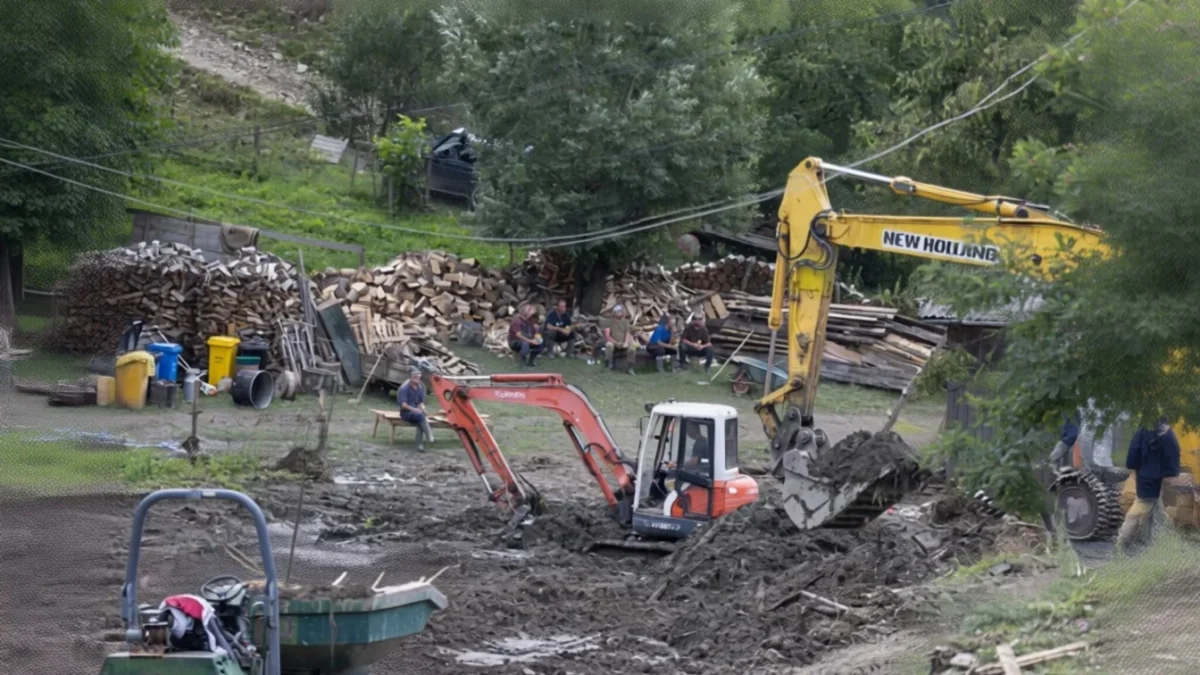 cod galben inundatii