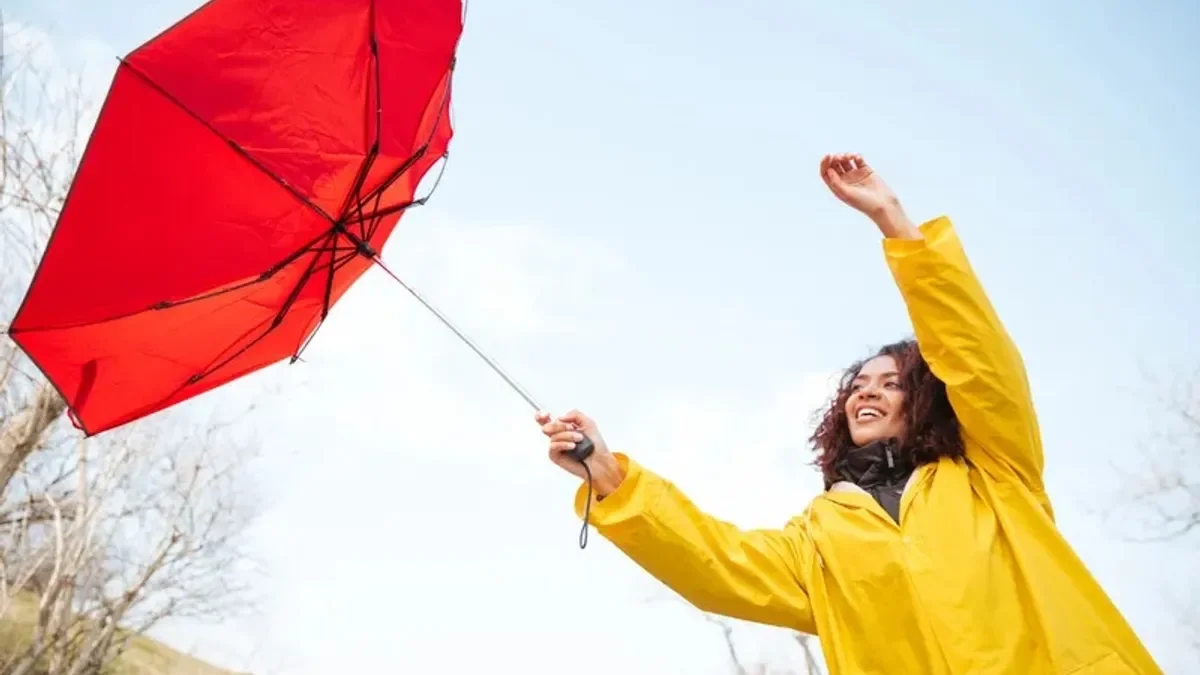 cod portocaliu vânt