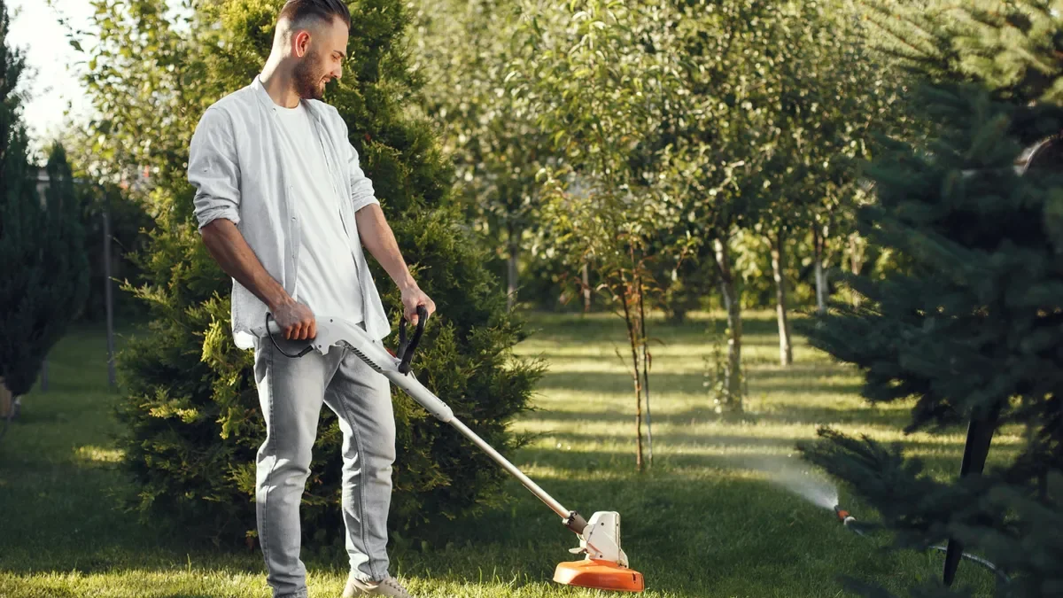 Un bărbat a găsit 40.000 de euro în timp ce tundea iarba. Ce s-a întâmplat cu aurul după 6 luni