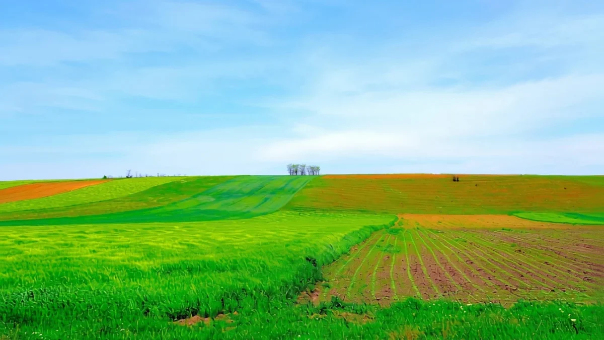 Fermierii UE cer ajutor de urgență la Bruxelles după scumpiri de 20% la îngrășăminte criză agricultură UE