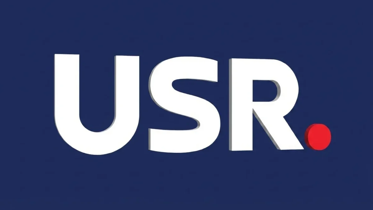 criza politica guvern