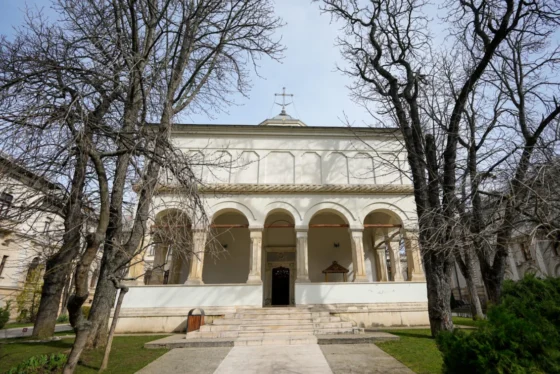 demisii ministri PSD