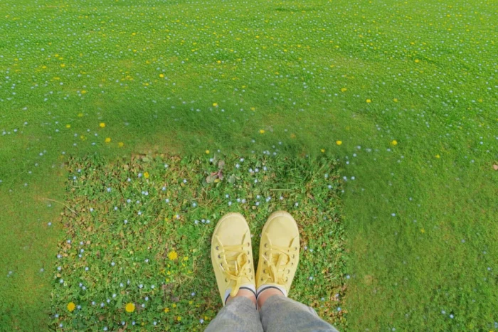 efectul noului început