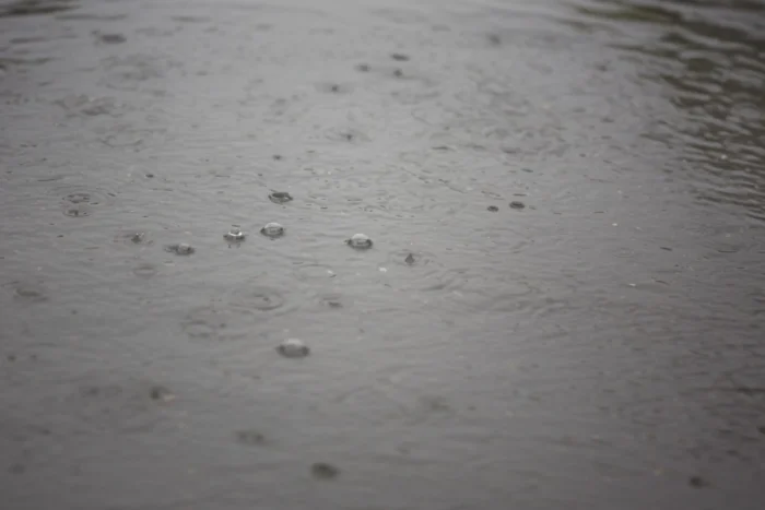 ANM anunță vânt de 80 km/h și ninsori. Informare meteo pentru toată România informare meteo