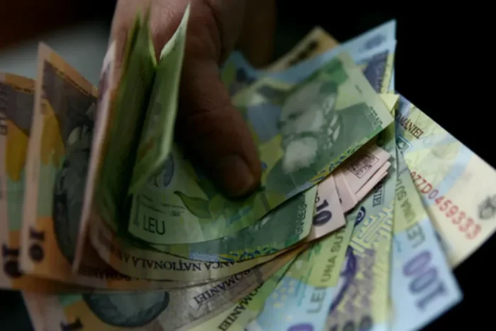 investiții buget național