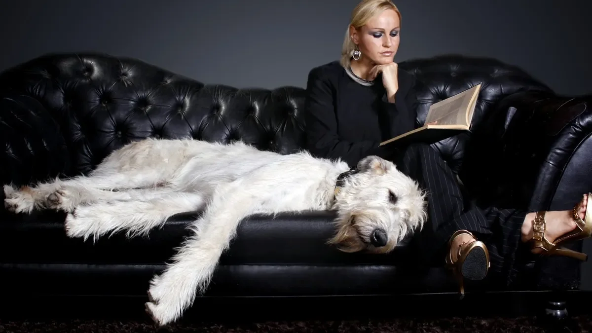 Se oferă 70.000 de euro și casă gratis. Ce trebuie să faci pentru jobul de vis din Marea Britanie