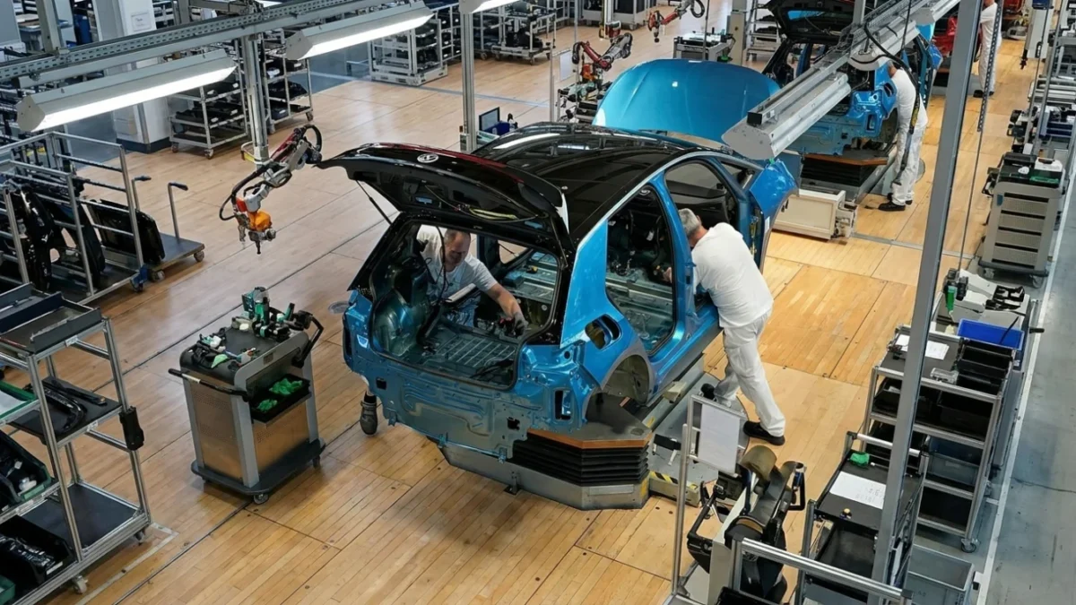 legea Made in Europe