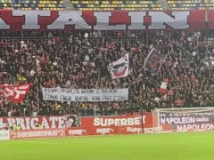 mesaje rasiste Dinamo