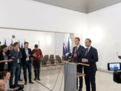 Dominic Fritz guvern tehnocrat