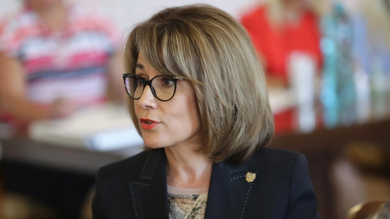 Soțul Nicoletei Pauliuc, implicat în anchete DIICOT. Vulnerabilitate la vârful PNL