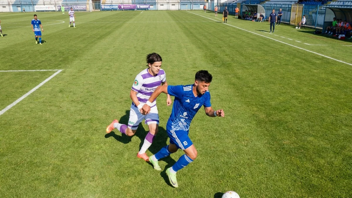 Olimpia Satu Mare Concordia Chiajna