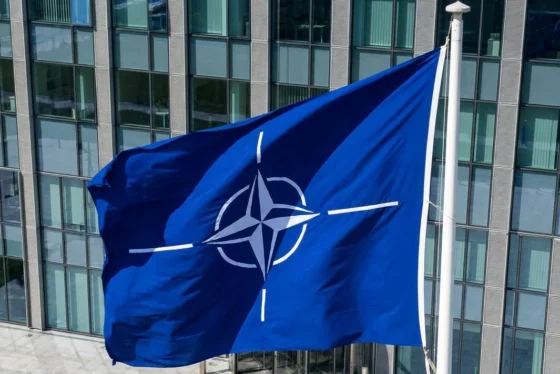 aderare Ucraina NATO