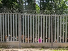 expulzarea migranților