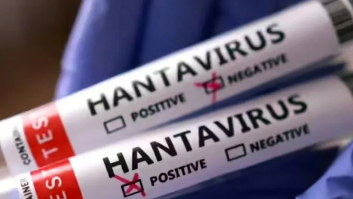 hantavirus