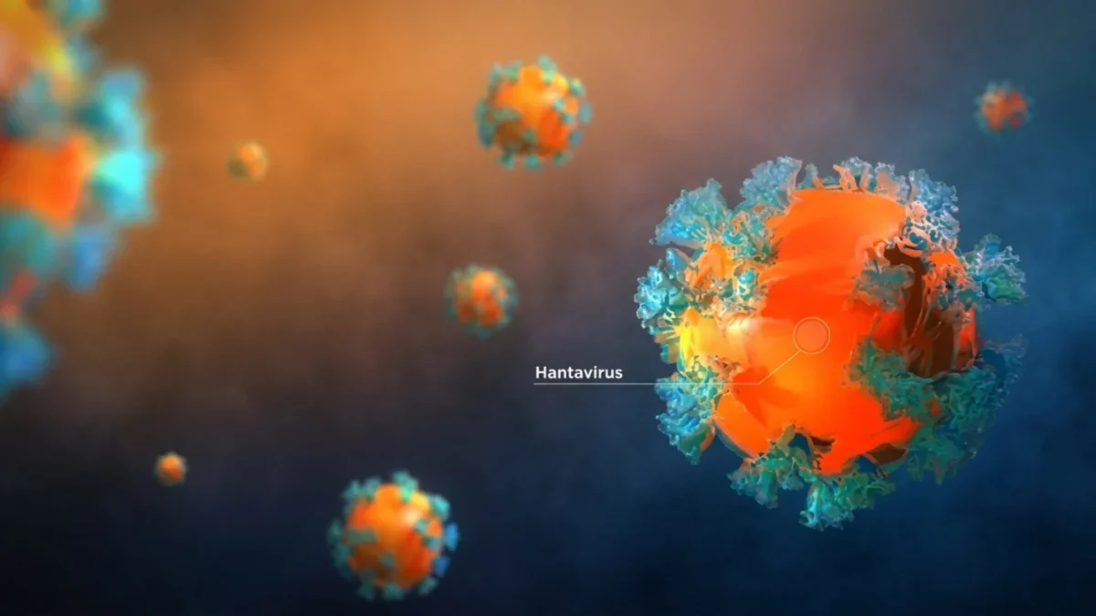 hantavirus