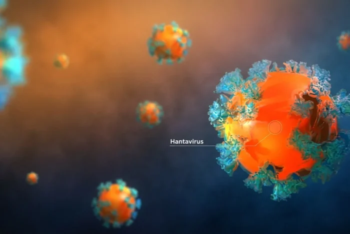 hantavirus